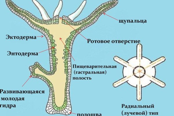 Кракен это даркнет маркетплейс